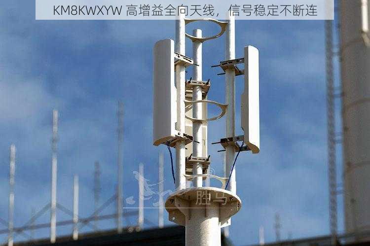 KM8KWXYW 高增益全向天线，信号稳定不断连