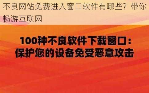 不良网站免费进入窗口软件有哪些？带你畅游互联网