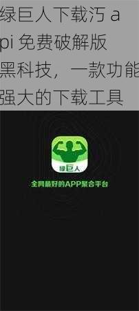 绿巨人下载汅 api 免费破解版黑科技，一款功能强大的下载工具