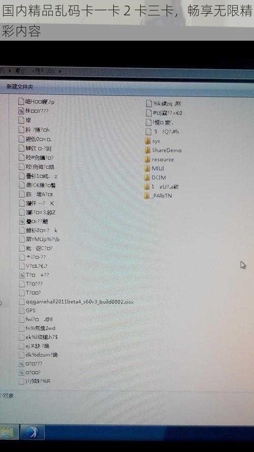 国内精品乱码卡一卡 2 卡三卡，畅享无限精彩内容