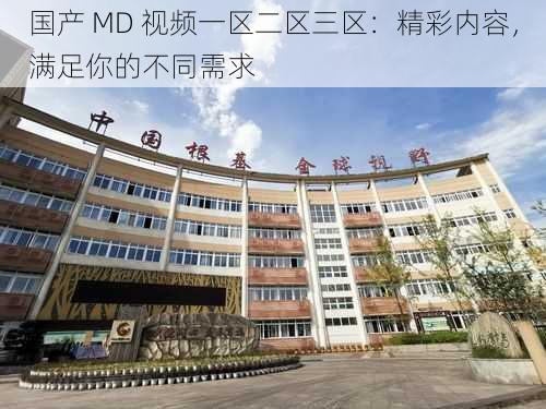 国产 MD 视频一区二区三区：精彩内容，满足你的不同需求