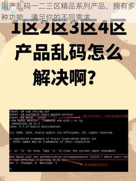 国产乱码一二三区精品系列产品，拥有多种功能，满足你的不同需求