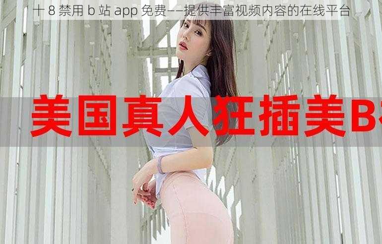 十 8 禁用 b 站 app 免费——提供丰富视频内容的在线平台