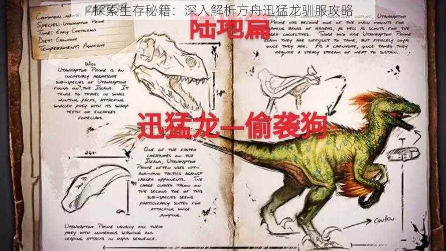 探索生存秘籍：深入解析方舟迅猛龙驯服攻略