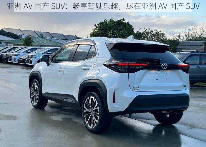 亚洲 AV 国产 SUV：畅享驾驶乐趣，尽在亚洲 AV 国产 SUV