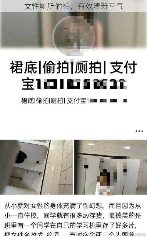 女性厕所偷柏，有效清新空气