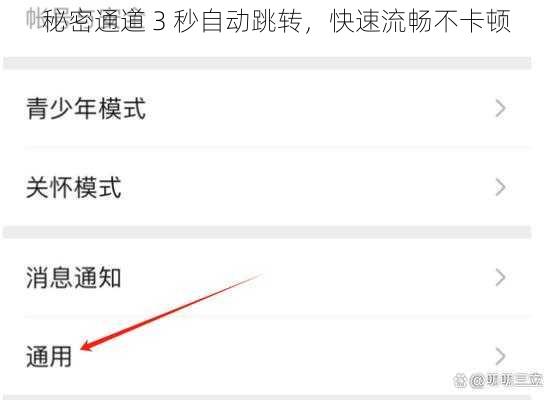 秘密通道 3 秒自动跳转，快速流畅不卡顿