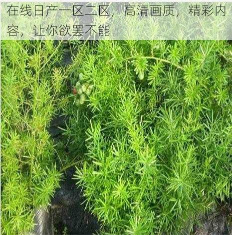 在线日产一区二区，高清画质，精彩内容，让你欲罢不能