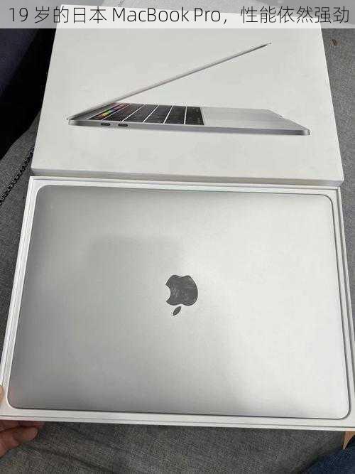 19 岁的日本 MacBook Pro，性能依然强劲