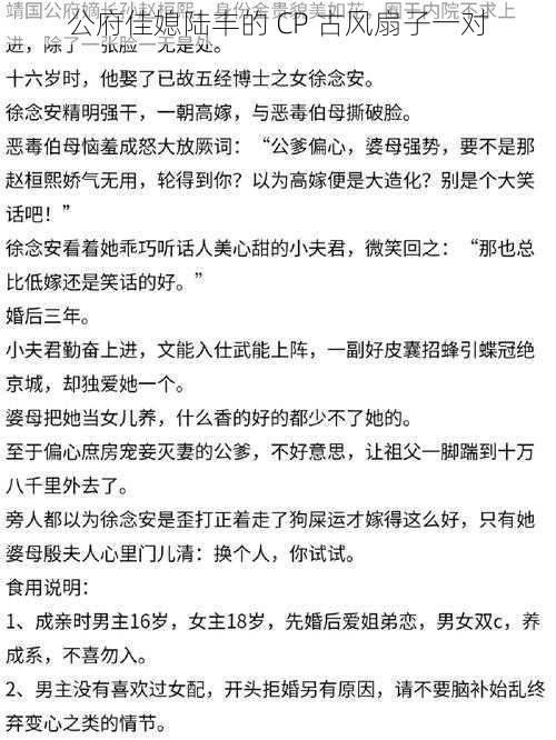 公府佳媳陆丰的 CP 古风扇子一对