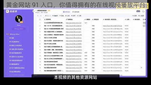 黄金网站 91 入口，你值得拥有的在线视频播放平台