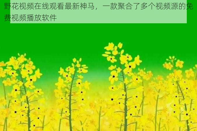 野花视频在线观看最新神马，一款聚合了多个视频源的免费视频播放软件