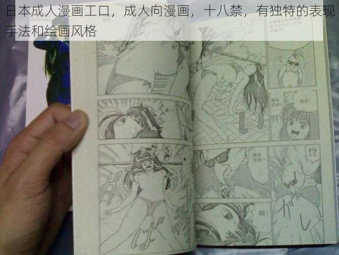 日本成人漫画工口，成人向漫画，十八禁，有独特的表现手法和绘画风格