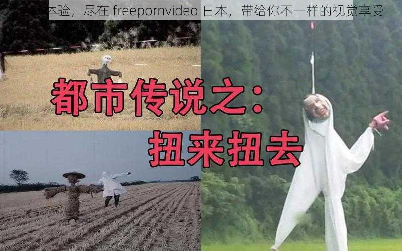 全新体验，尽在 freepornvideo 日本，带给你不一样的视觉享受