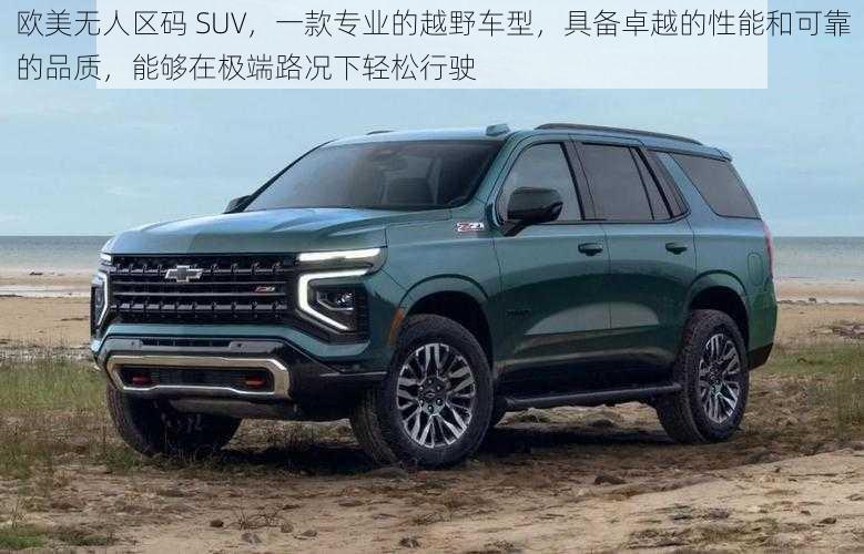 欧美无人区码 SUV，一款专业的越野车型，具备卓越的性能和可靠的品质，能够在极端路况下轻松行驶