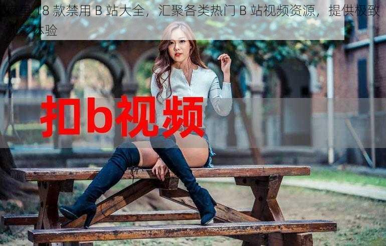 夜里 18 款禁用 B 站大全，汇聚各类热门 B 站视频资源，提供极致观影体验