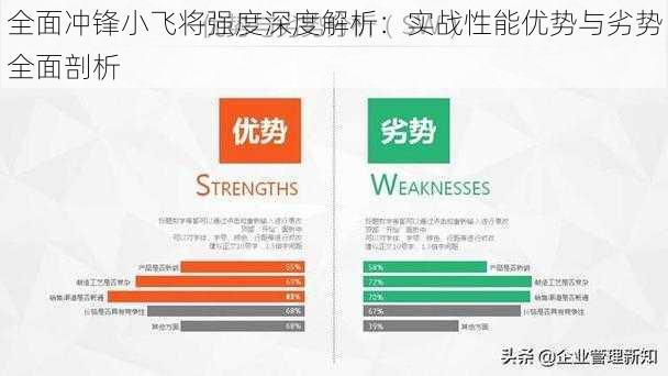 全面冲锋小飞将强度深度解析：实战性能优势与劣势全面剖析