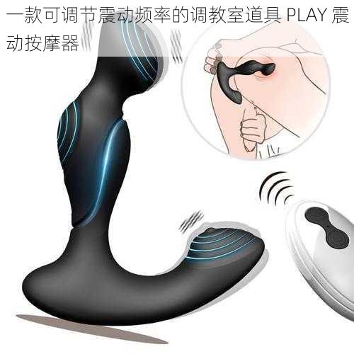 一款可调节震动频率的调教室道具 PLAY 震动按摩器