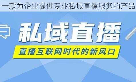 一款为企业提供专业私域直播服务的产品