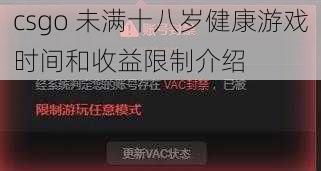 csgo 未满十八岁健康游戏时间和收益限制介绍