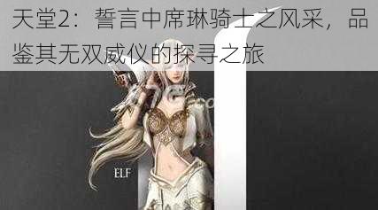 天堂2：誓言中席琳骑士之风采，品鉴其无双威仪的探寻之旅