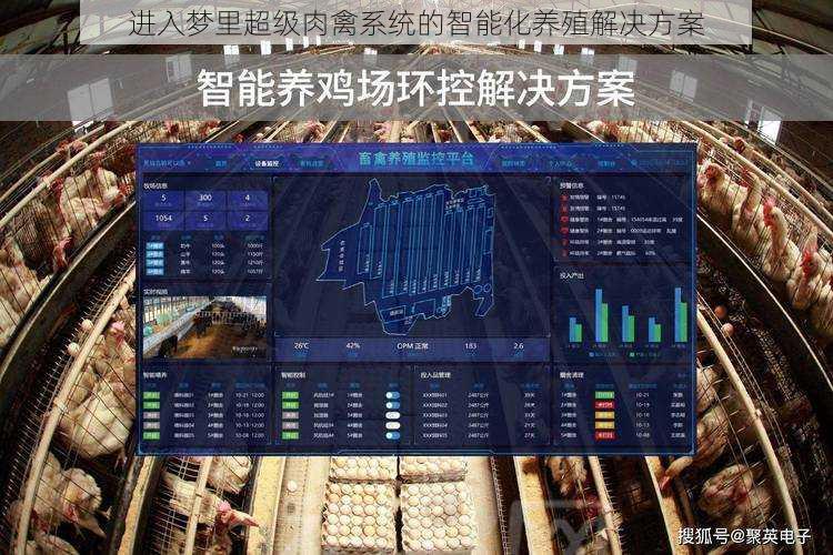 进入梦里超级肉禽系统的智能化养殖解决方案