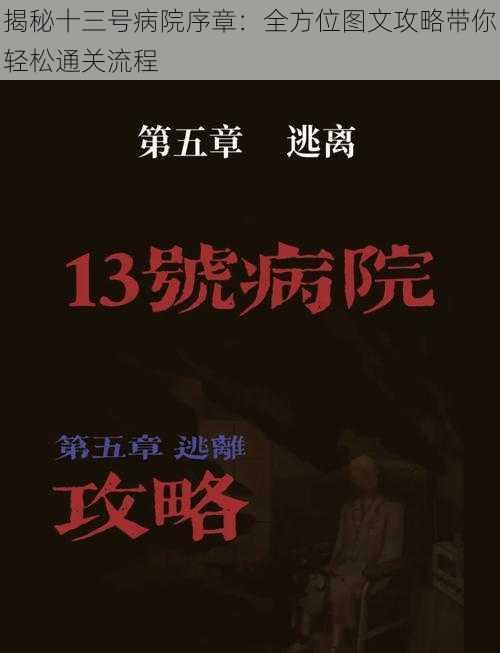 揭秘十三号病院序章：全方位图文攻略带你轻松通关流程