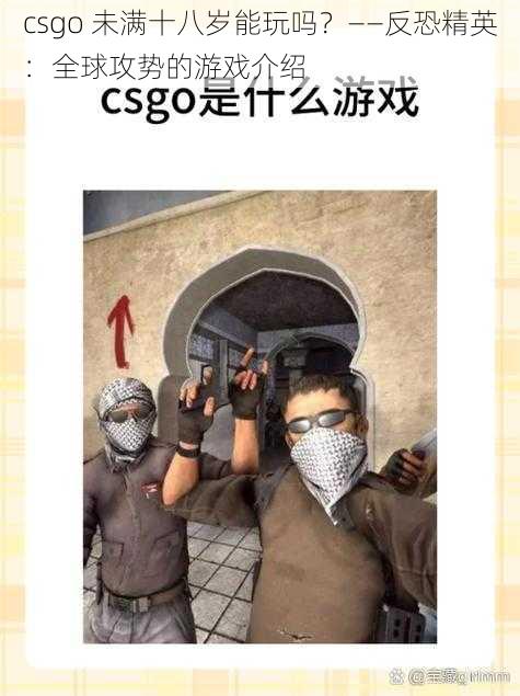 csgo 未满十八岁能玩吗？——反恐精英：全球攻势的游戏介绍