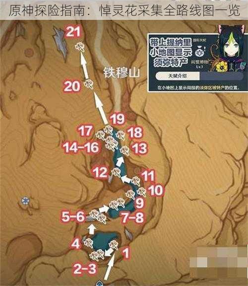 原神探险指南：悼灵花采集全路线图一览