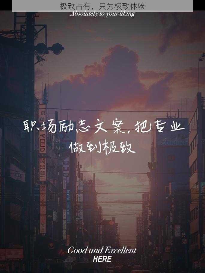 极致占有，只为极致体验