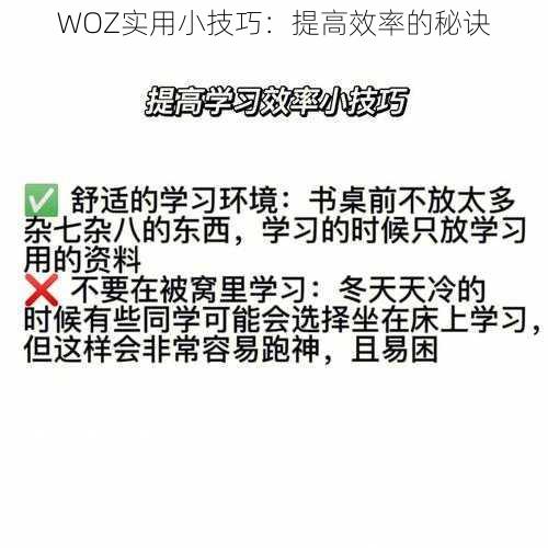 WOZ实用小技巧：提高效率的秘诀