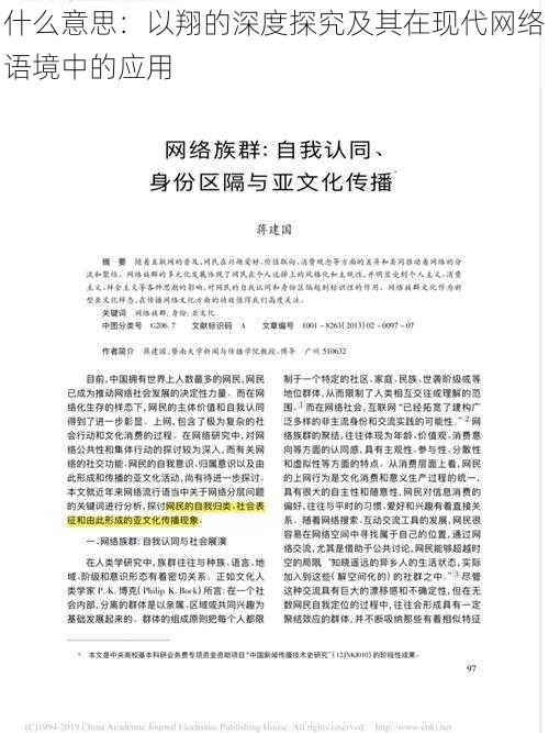 什么意思：以翔的深度探究及其在现代网络语境中的应用