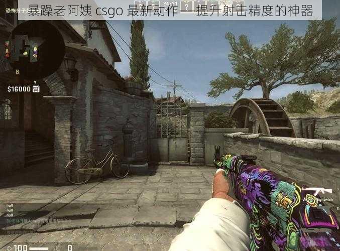 暴躁老阿姨 csgo 最新动作——提升射击精度的神器