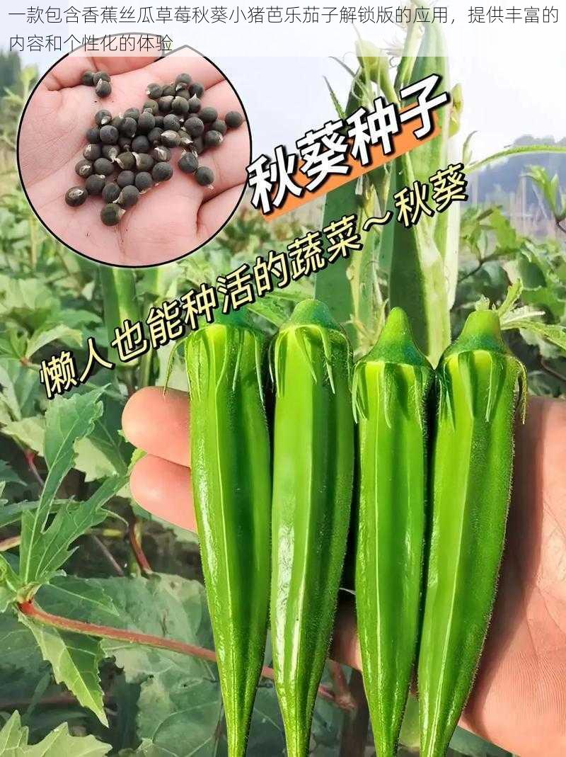 一款包含香蕉丝瓜草莓秋葵小猪芭乐茄子解锁版的应用，提供丰富的内容和个性化的体验