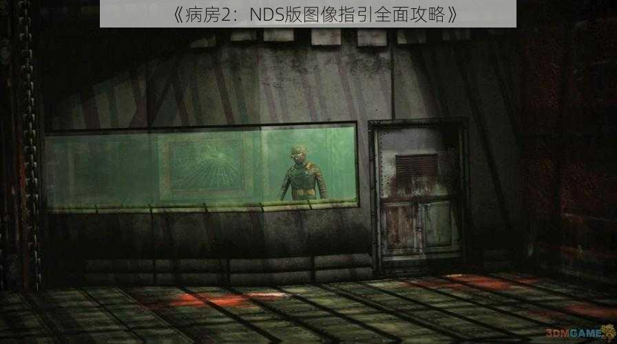 《病房2：NDS版图像指引全面攻略》