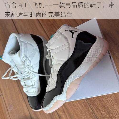 宿舍 aj11 飞机——一款高品质的鞋子，带来舒适与时尚的完美结合