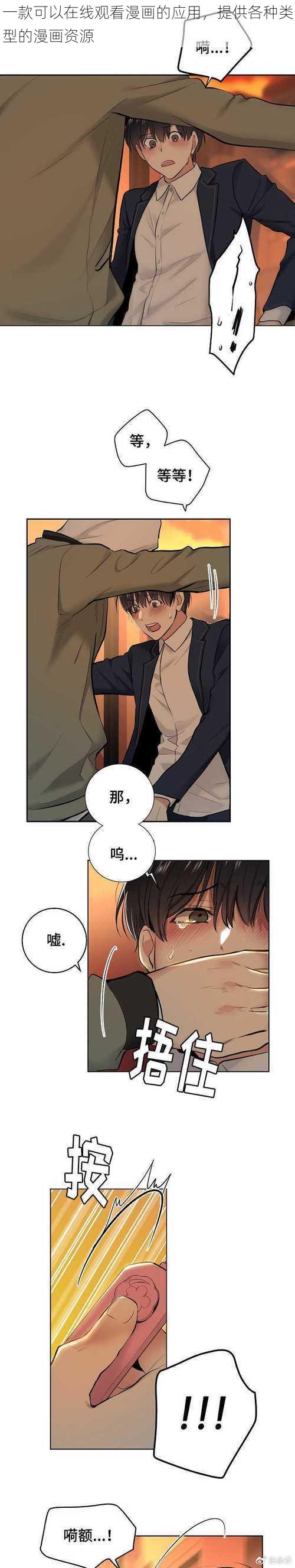 一款可以在线观看漫画的应用，提供各种类型的漫画资源