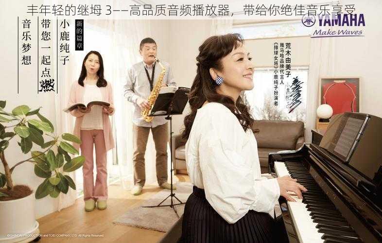 丰年轻的继坶 3——高品质音频播放器，带给你绝佳音乐享受