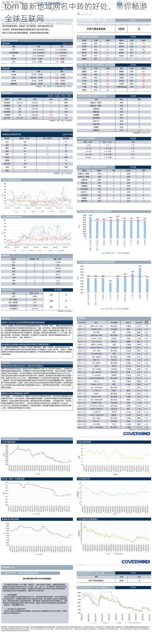 tom 最新地域网名中转的好处，带你畅游全球互联网