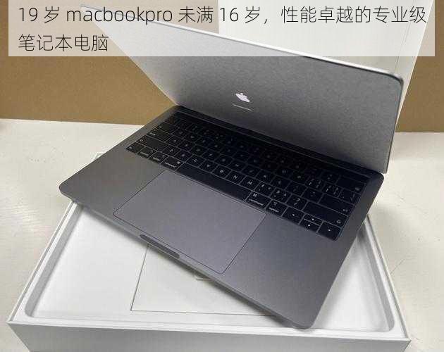 19 岁 macbookpro 未满 16 岁，性能卓越的专业级笔记本电脑