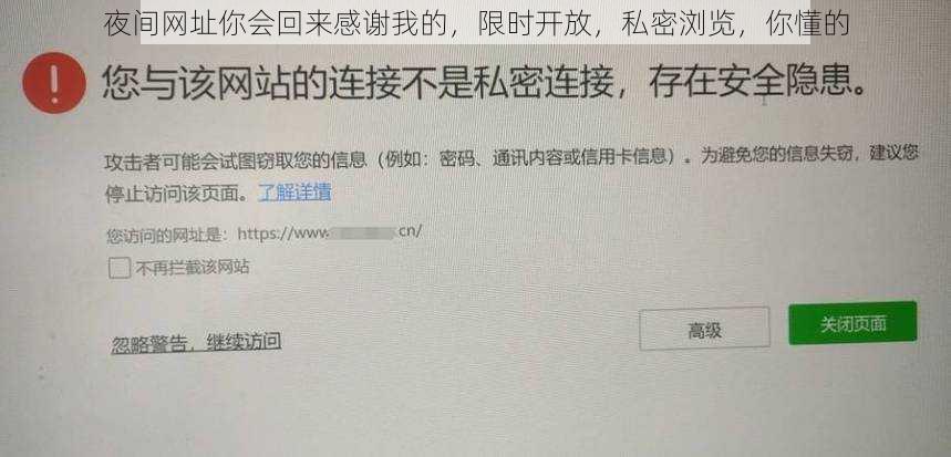 夜间网址你会回来感谢我的，限时开放，私密浏览，你懂的