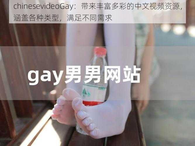 chinesevideoGay：带来丰富多彩的中文视频资源，涵盖各种类型，满足不同需求