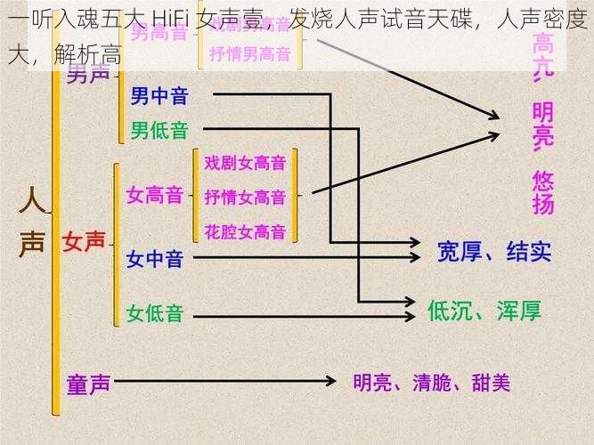 一听入魂五大 HiFi 女声壹，发烧人声试音天碟，人声密度大，解析高