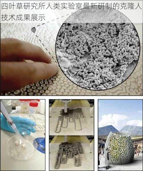 四叶草研究所人类实验室最新研制的克隆人技术成果展示