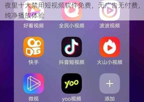 夜里十大禁用短视频软件免费，无广告无付费，纯净播放体验