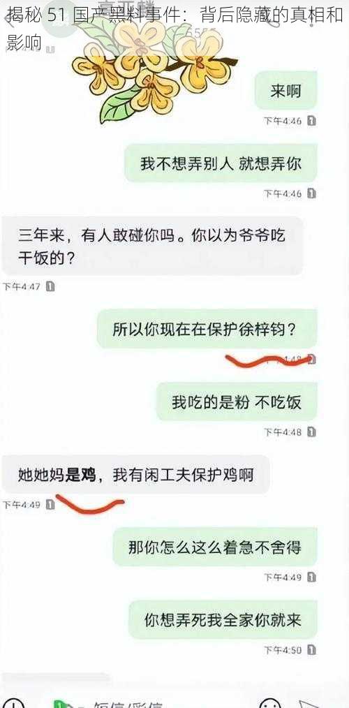 揭秘 51 国产黑料事件：背后隐藏的真相和影响