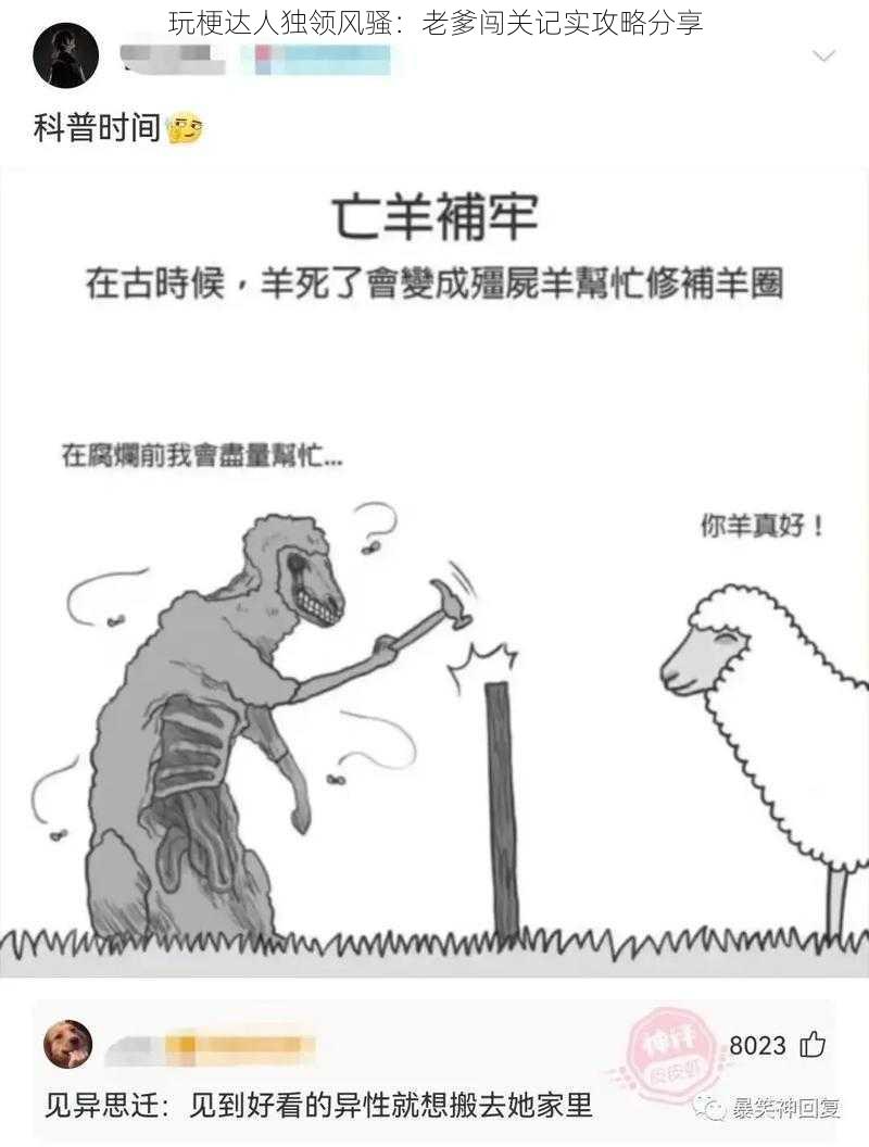 玩梗达人独领风骚：老爹闯关记实攻略分享