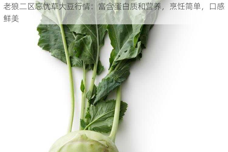 老狼二区忘忧草大豆行情：富含蛋白质和营养，烹饪简单，口感鲜美