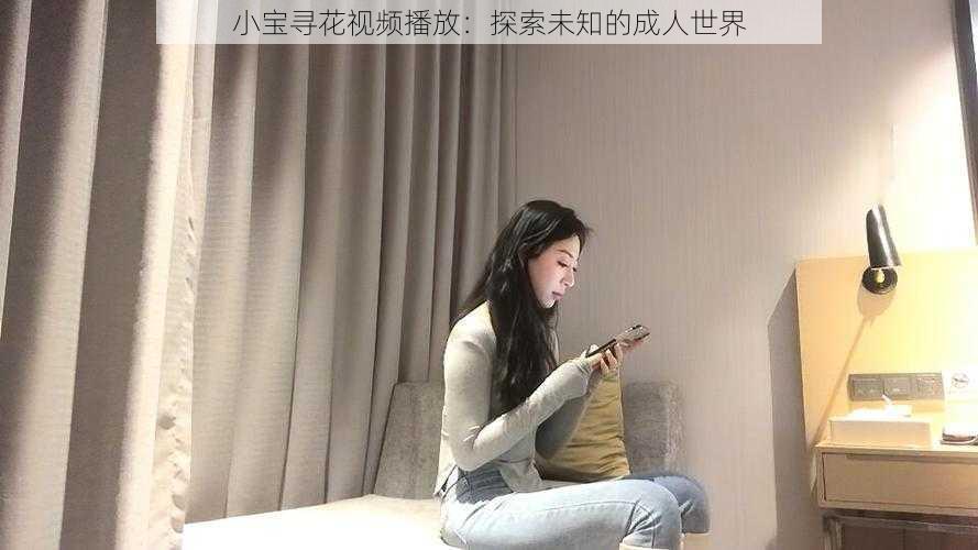 小宝寻花视频播放：探索未知的成人世界