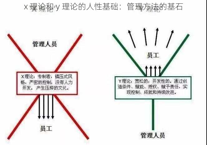 x 理论和 y 理论的人性基础：管理方法的基石